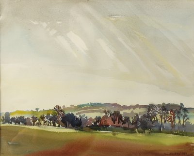 Ochtendlandschap, 1981 door Brenda Brin Booker